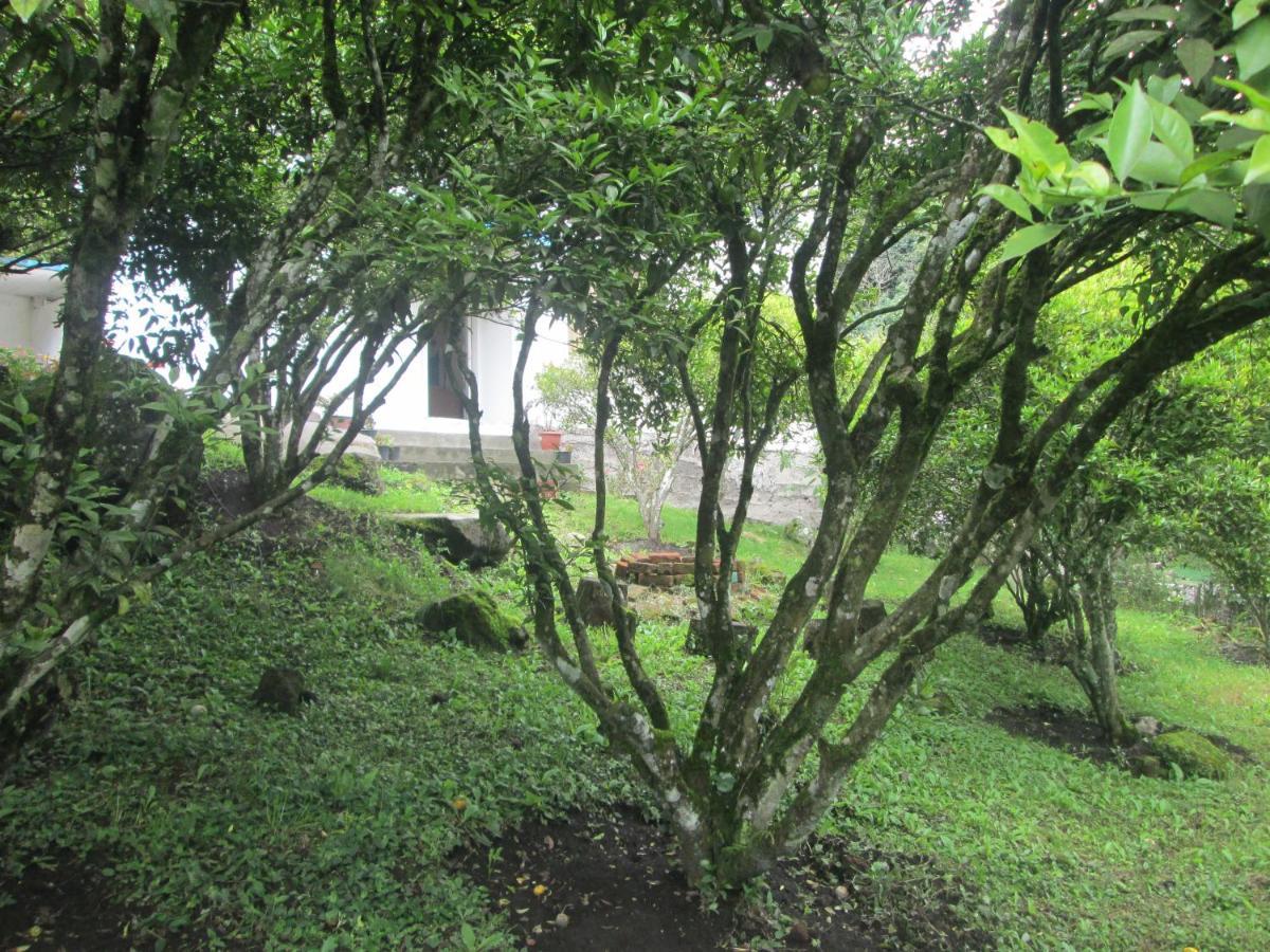 Villa Casa Martin En Banos De Agua Santa Extérieur photo